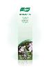 Dentaforce Toothpaste 100g